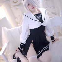 疯猫ss 尼尔2B1