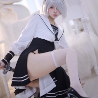 疯猫ss 尼尔2B3